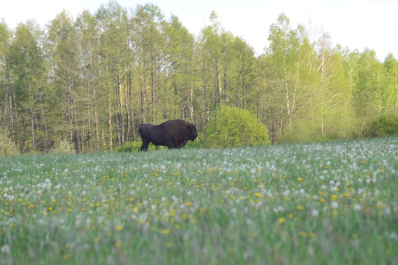 Ciche Podlasie Siemianowka Exteriér fotografie